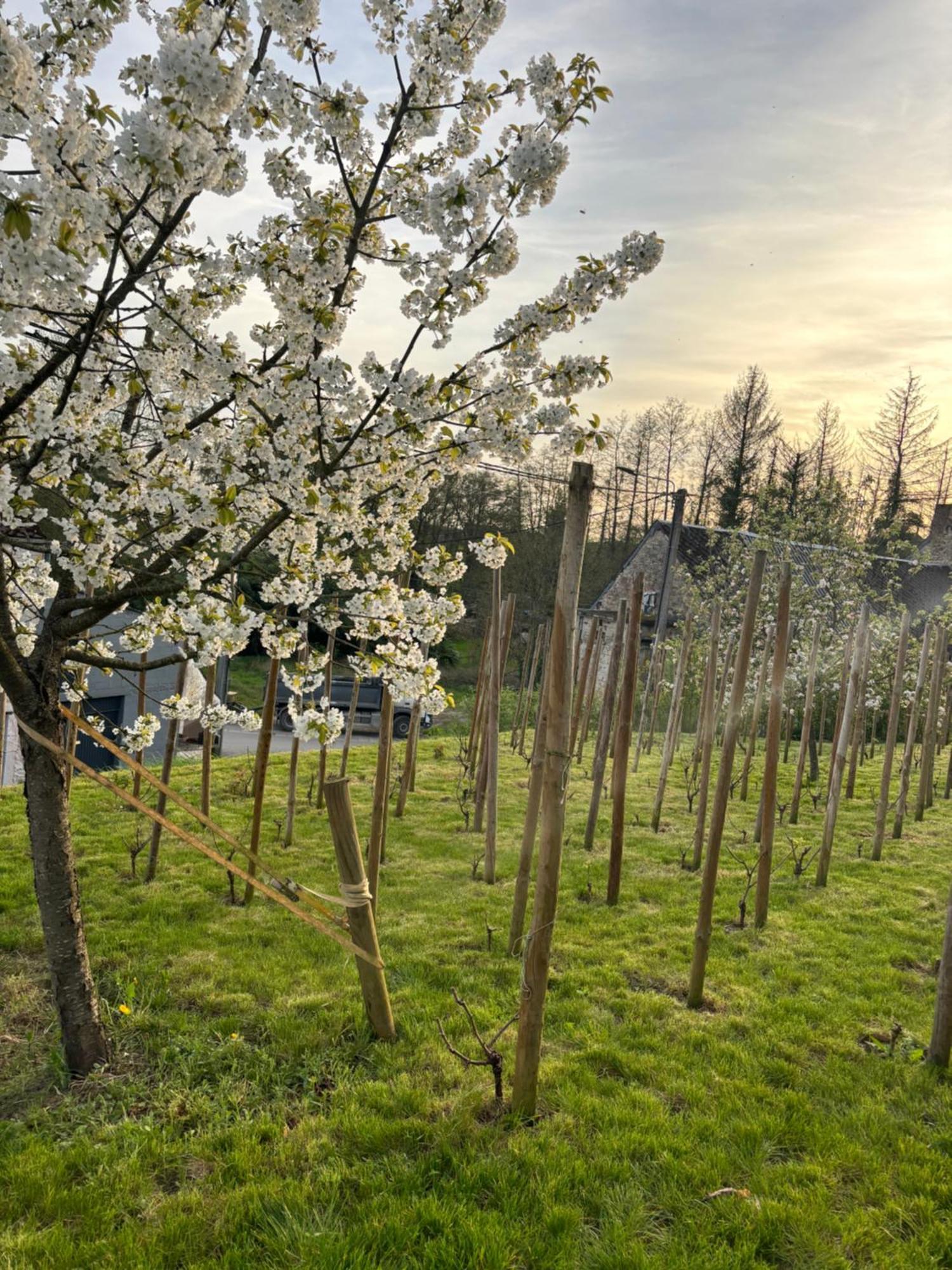 Le Gite Du Faubourg Sautour Exterior foto